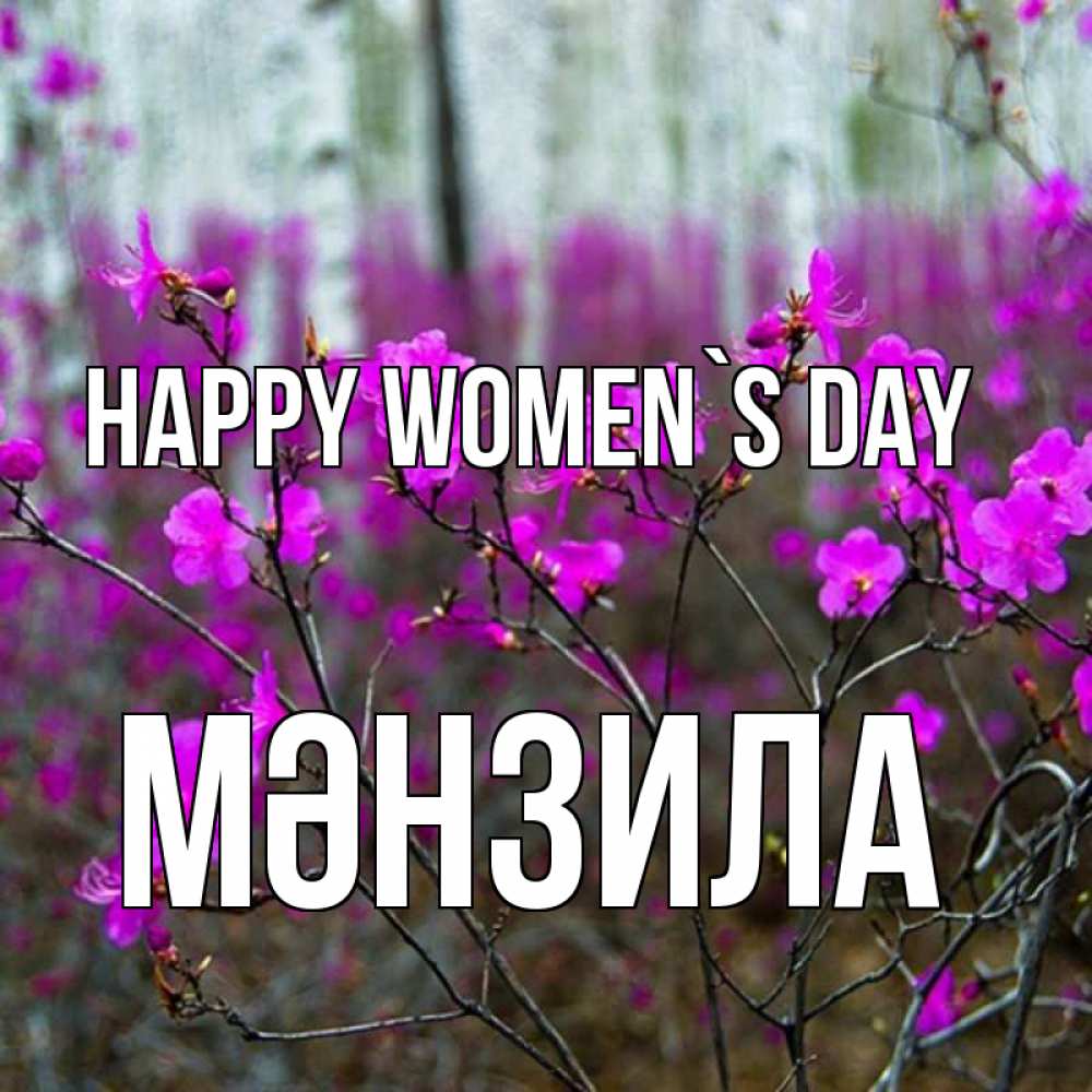 Greetings card с именем, МӘНЗИЛА happy women`s day дикие цветы Greetings with text for free download 